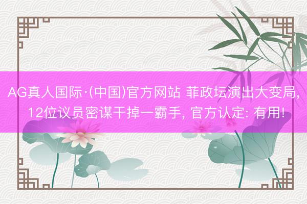 AG真人国际·(中国)官方网站 菲政坛演出大变局， 12位议员密谋干掉一霸手， 官方认定: 有用!