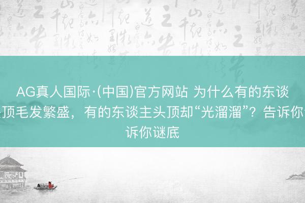AG真人国际·(中国)官方网站 为什么有的东谈主头顶毛发繁盛,有的东谈主头顶却“光溜溜”?告诉你谜底