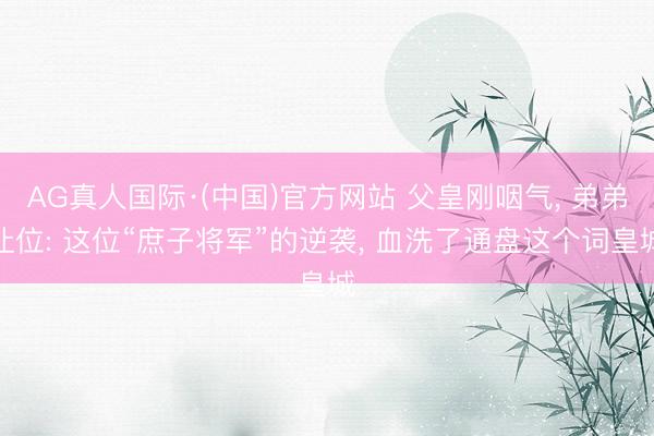 AG真人国际·(中国)官方网站 父皇刚咽气， 弟弟让位: 这位“庶子将军”的逆袭， 血洗了通盘这个词皇城