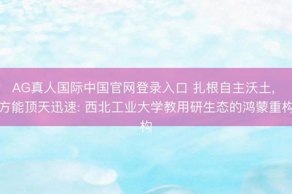 AG真人国际中国官网登录入口 扎根自主沃土， 方能顶天迅速: 西北工业大学教用研生态的鸿蒙重构