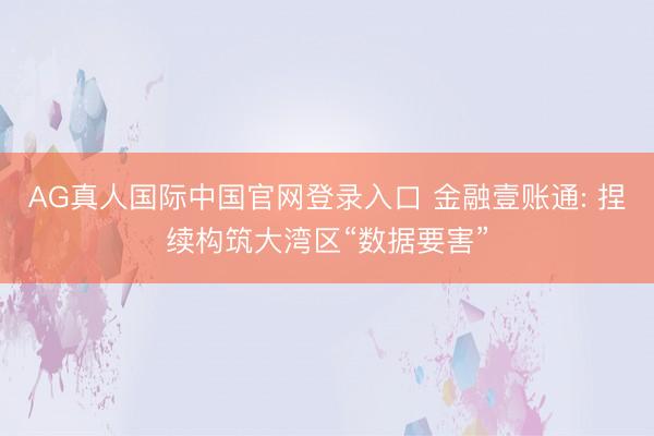 AG真人国际中国官网登录入口 金融壹账通: 捏续构筑大湾区“数据要害”