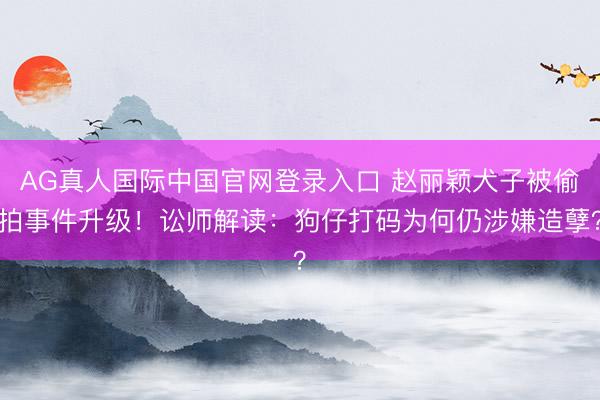 AG真人国际中国官网登录入口 赵丽颖犬子被偷拍事件升级！讼师解读：狗仔打码为何仍涉嫌造孽？