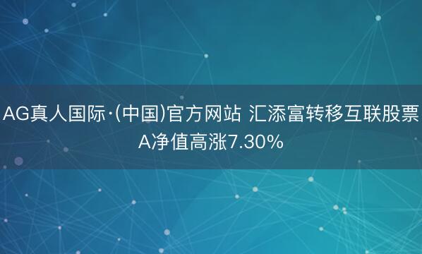 AG真人国际·(中国)官方网站 汇添富转移互联股票A净值高涨7.30%