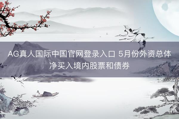 AG真人国际中国官网登录入口 5月份外资总体净买入境内股票和债券