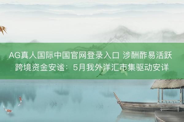 AG真人国际中国官网登录入口 涉酬酢易活跃 跨境资金安谧：5月我外洋汇市集驱动安详