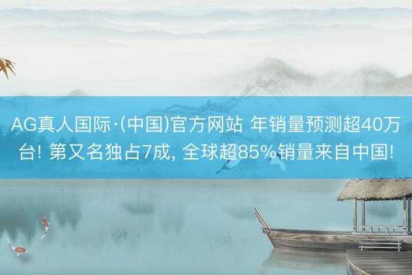 AG真人国际·(中国)官方网站 年销量预测超40万台! 第又名独占7成, 全球超85%销量来自中国!